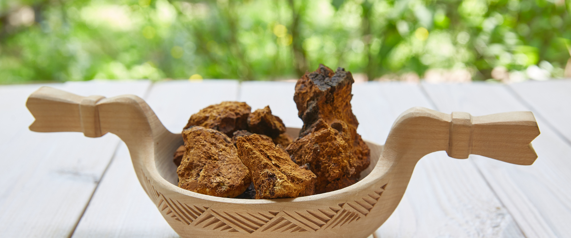 Chaga