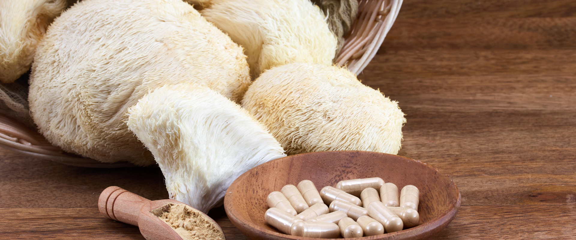 Lion’s Mane Mushroom