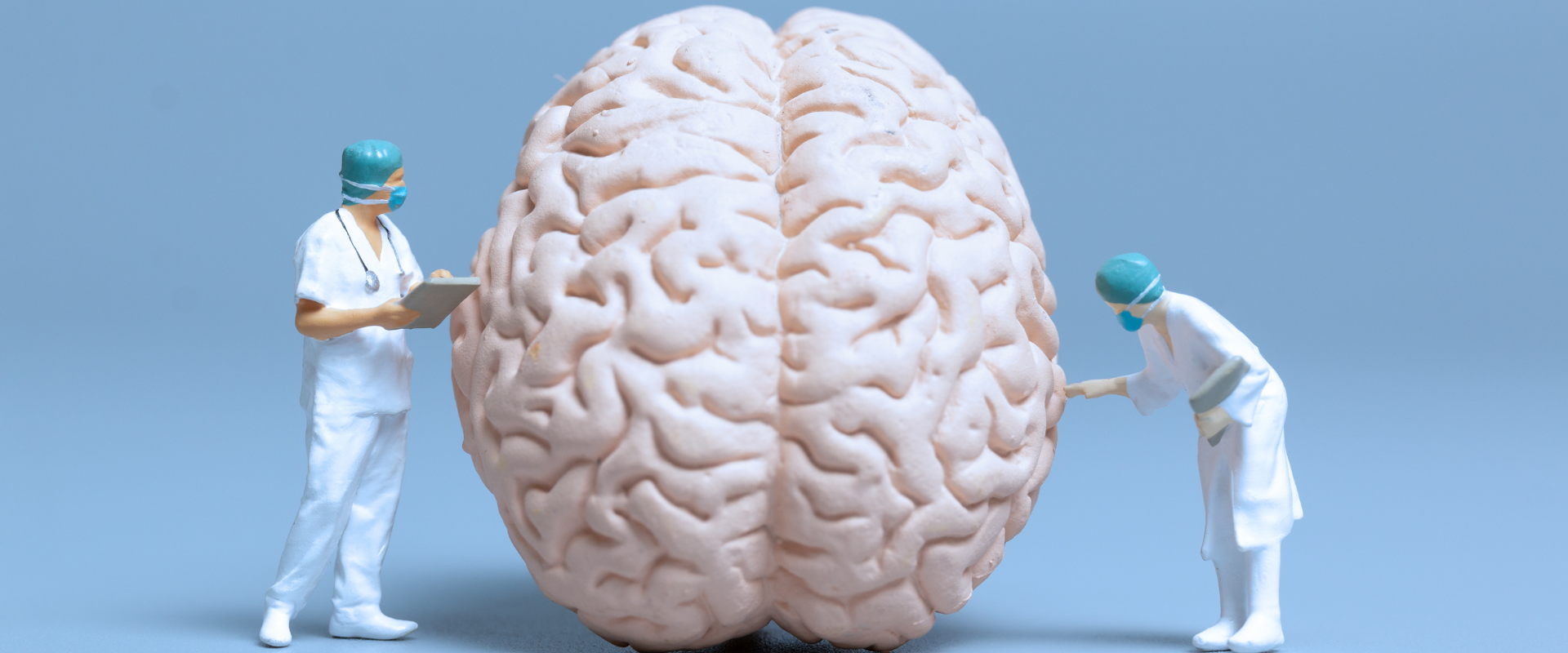 Why You Should Discover The Brain-Boosting Power of Natural Nootropics